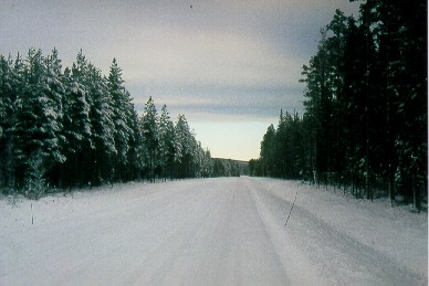Large areas in Europe are covered by forest plantations. Forest road in heden, Northern-Sweden.