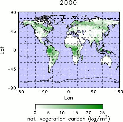 Vegetation carbon picture