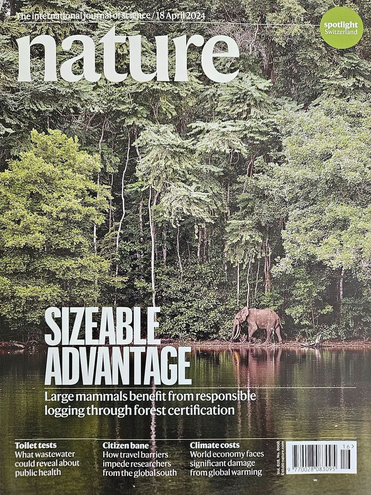 Lancet Cover