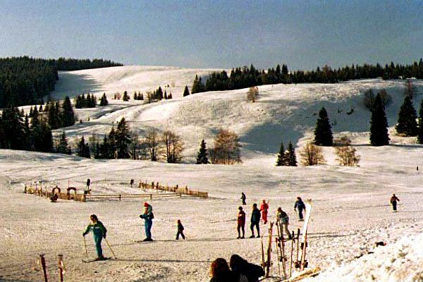 Skiing in the Austrian Alps.