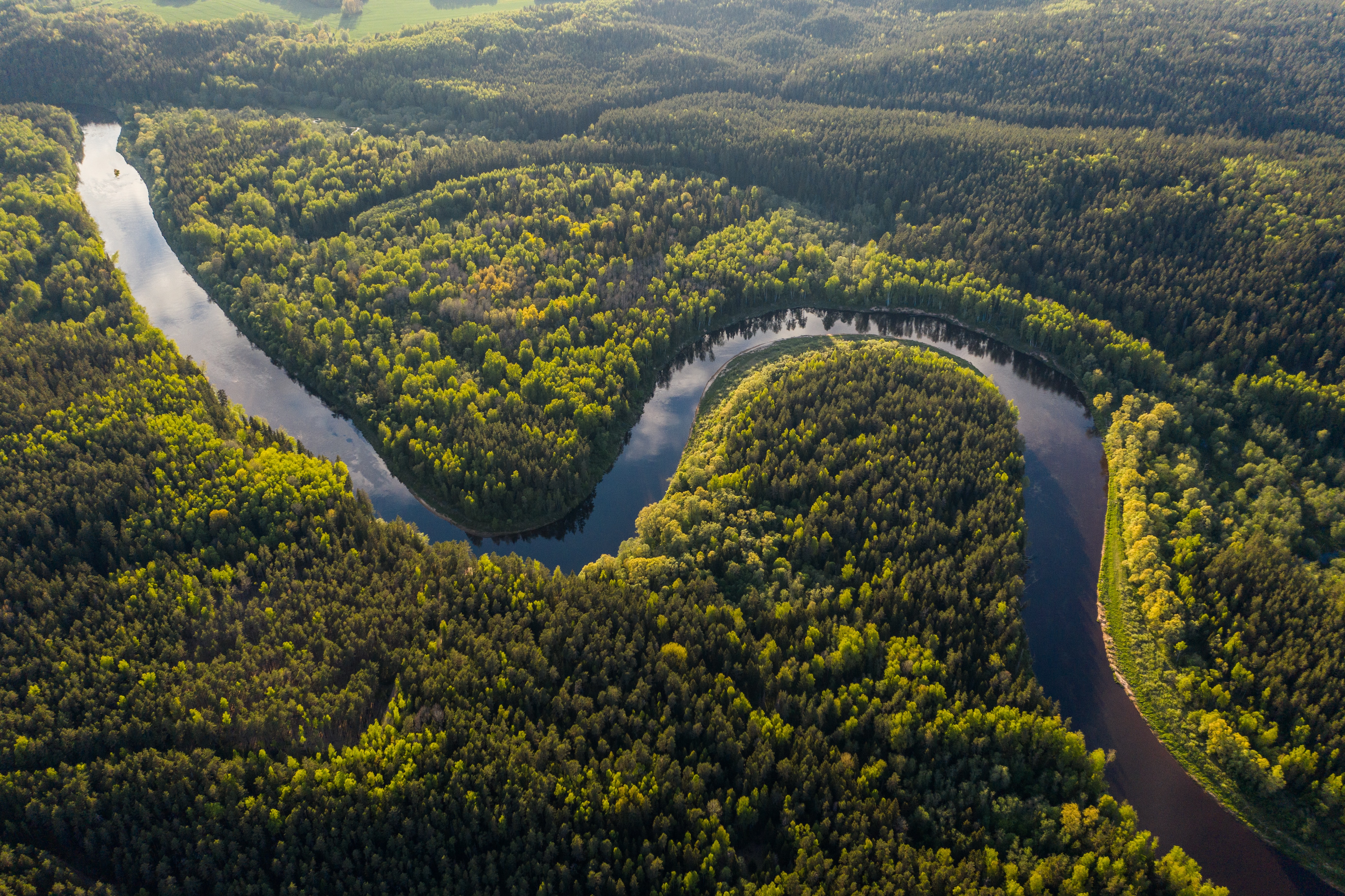 Amazonas-Regenwald verliert an Widerstandsfähigkeit