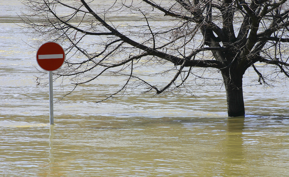 Zwischen Starkregen und Trockenheit: Klimafolgen in Deutschland