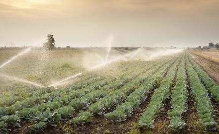 Weltweiter Agrarhandel kann Wasserstress mindern