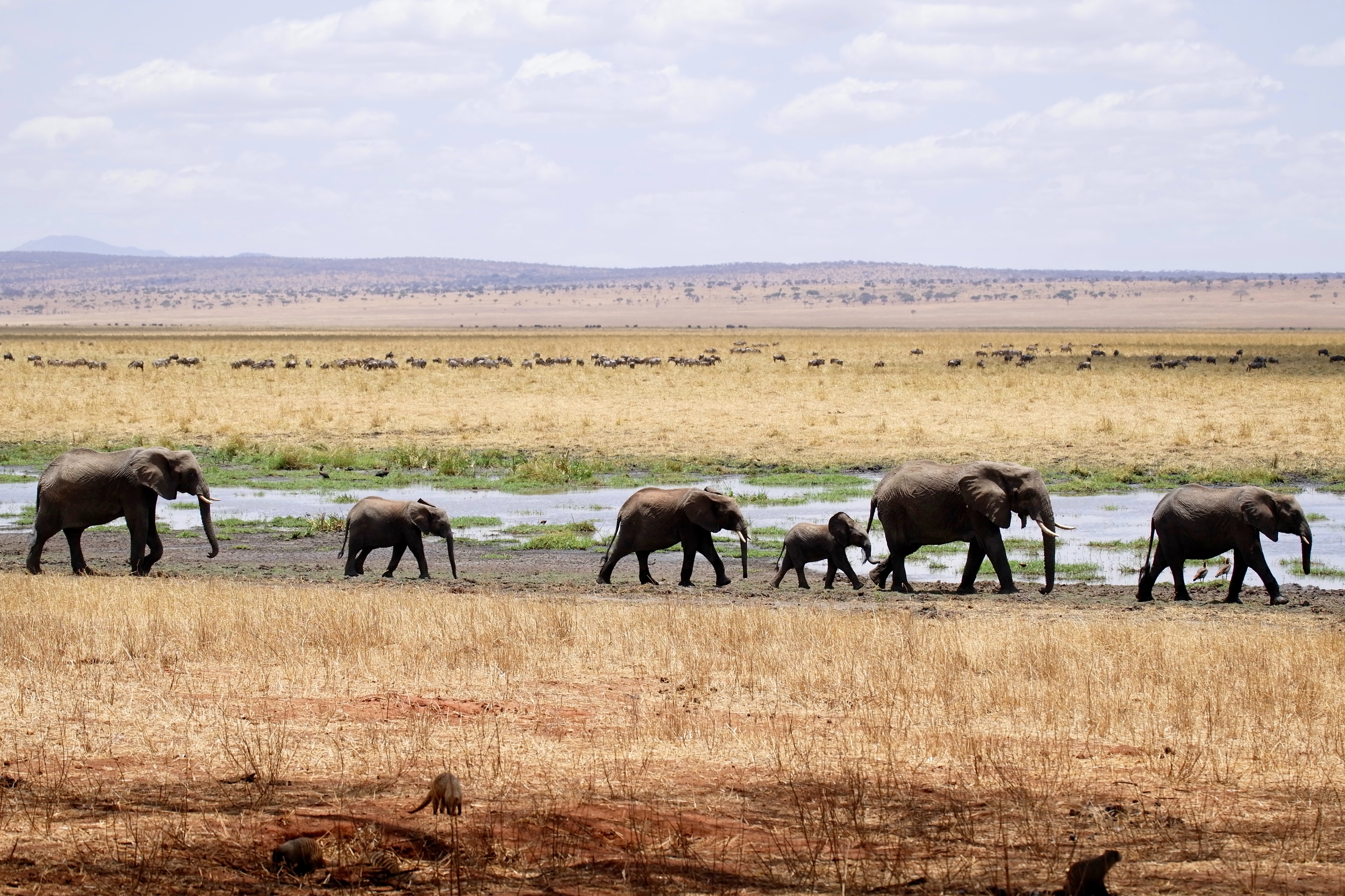 Der Zustand unseres Planeten: Dieses Jahrzehnt muss die Trendwende zu weniger Emissionen und Biodiversitätsverlust bringen