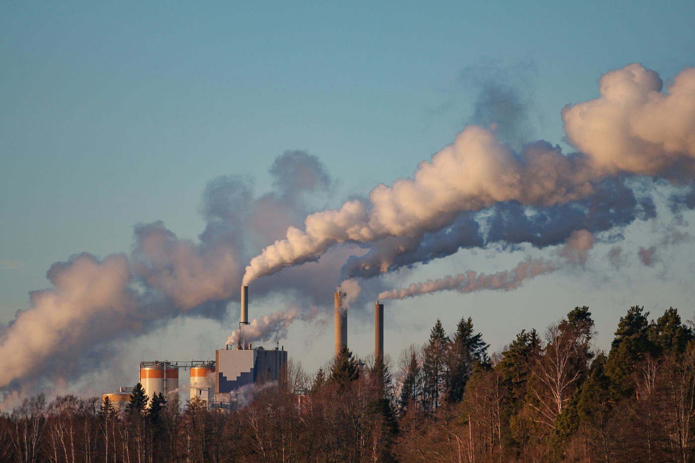 EU-Klimapolitik: Wie die EU  CO2 Entnahme steuern könnte