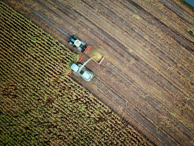 Für Ernährungssicherheit trotz Klimakrise und Krieg