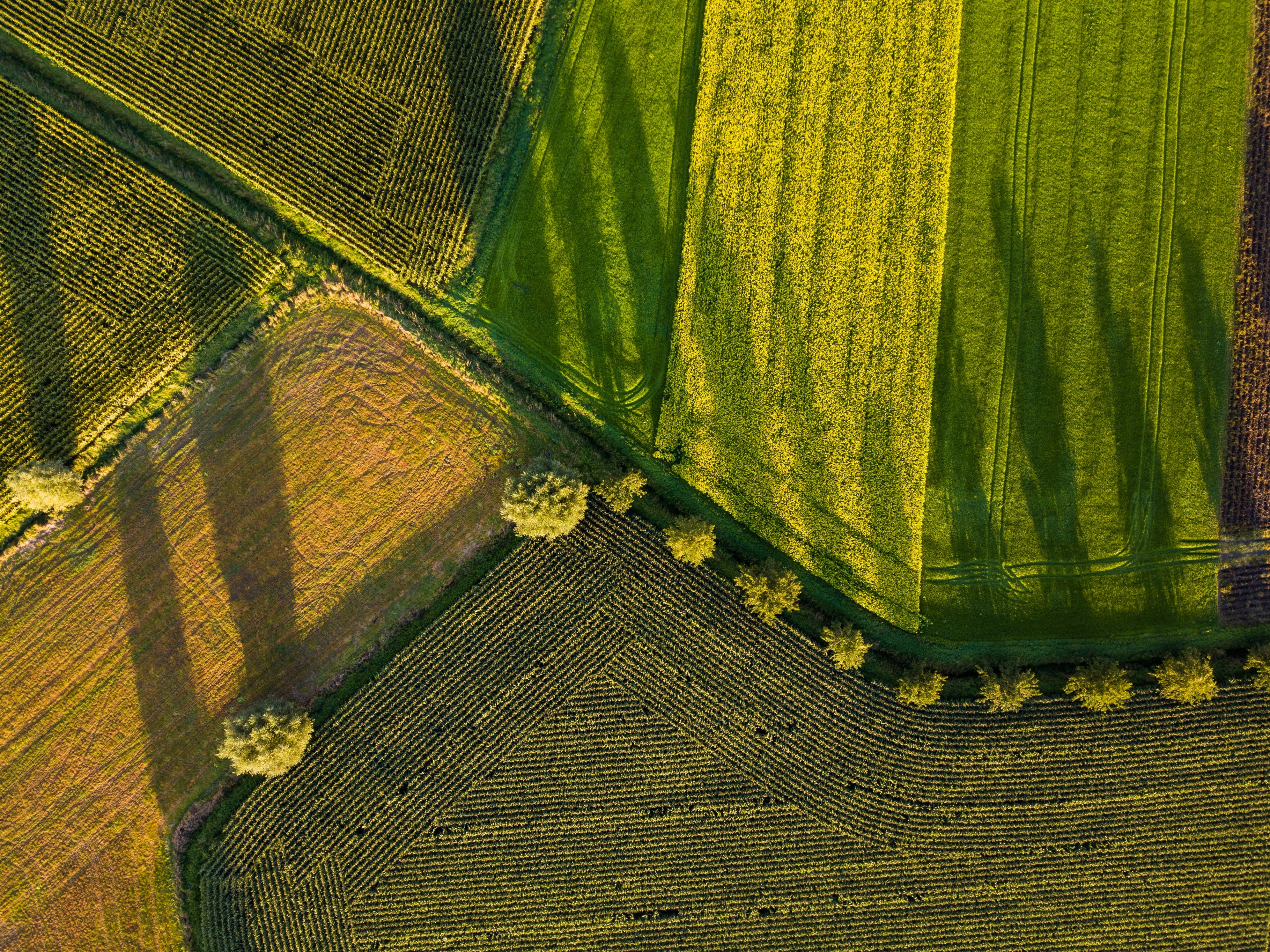 Globale Ungleichheit erschwert effektiven Klimaschutz im Landbereich