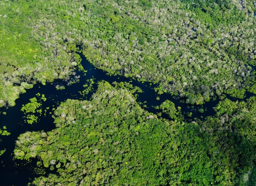 Hitze am Amazonas treibt Temperaturen in Tibet: Klima-Kippelemente um den halben Erdball miteinander verbunden