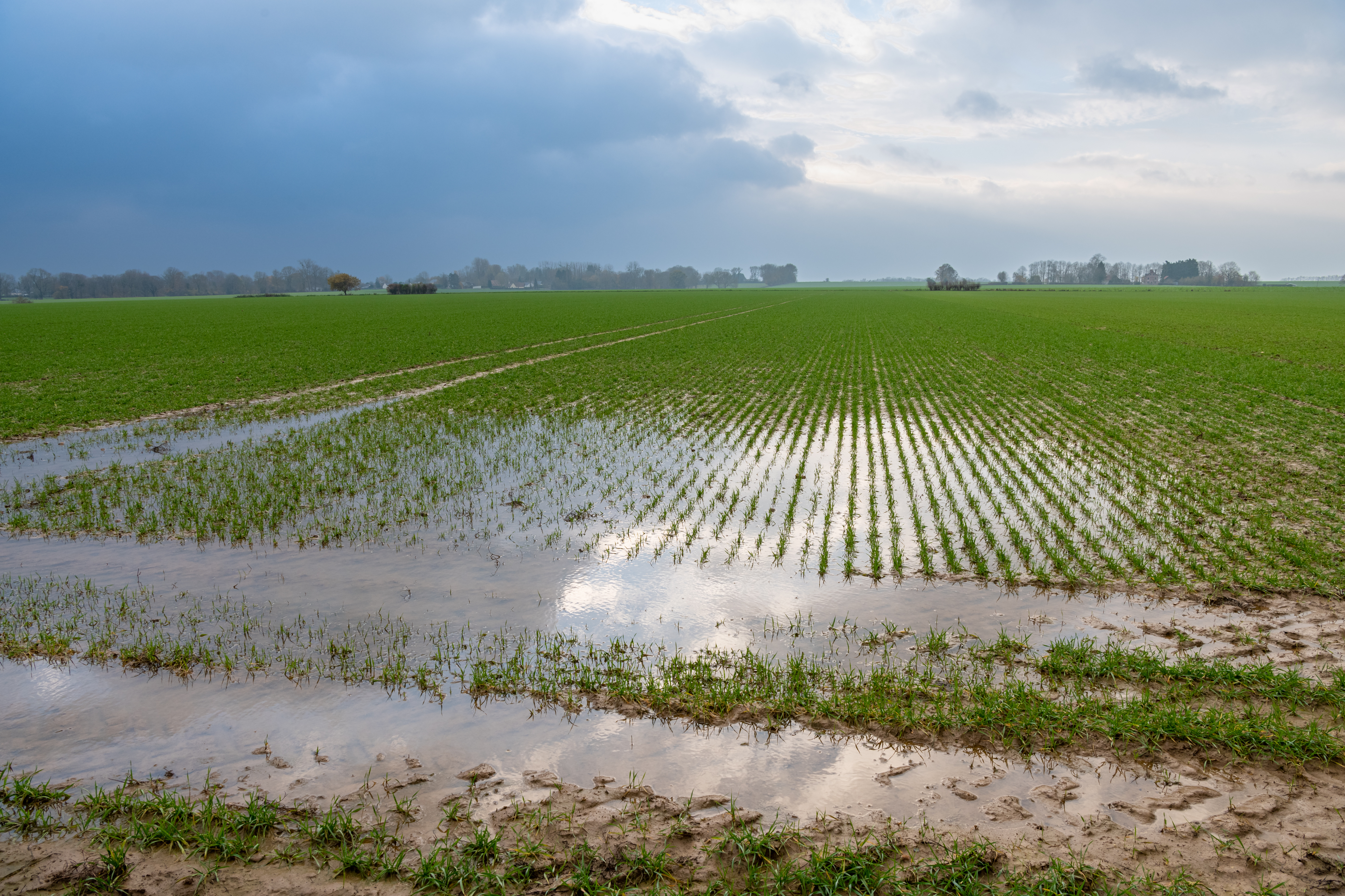 Klimafolgenforschung rüttelt an den Grenzen des Wissens