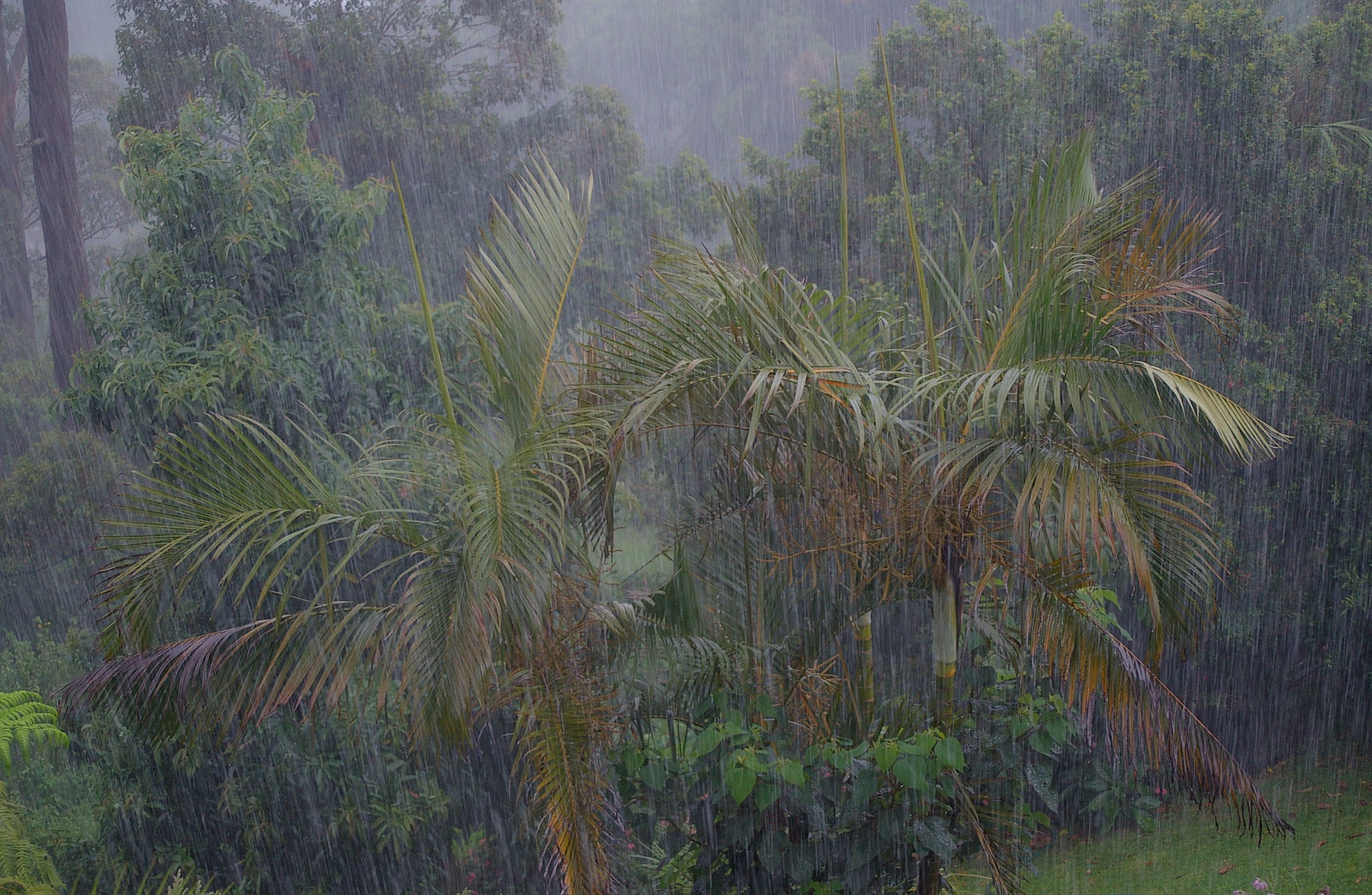 Klimawandel sorgt für chaotischen Monsun in Indien