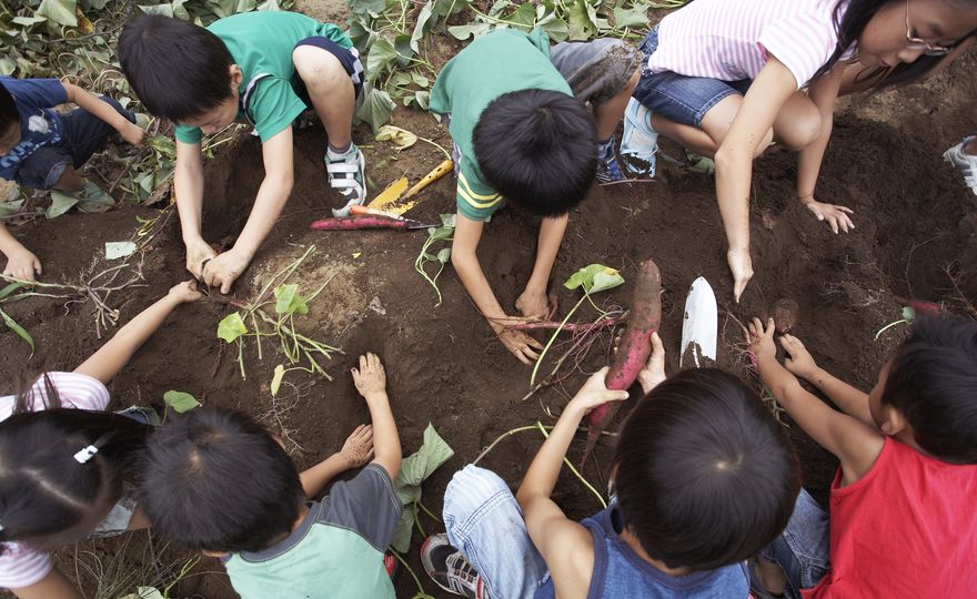 Konsum, Klimawandel und Landwirtschaft