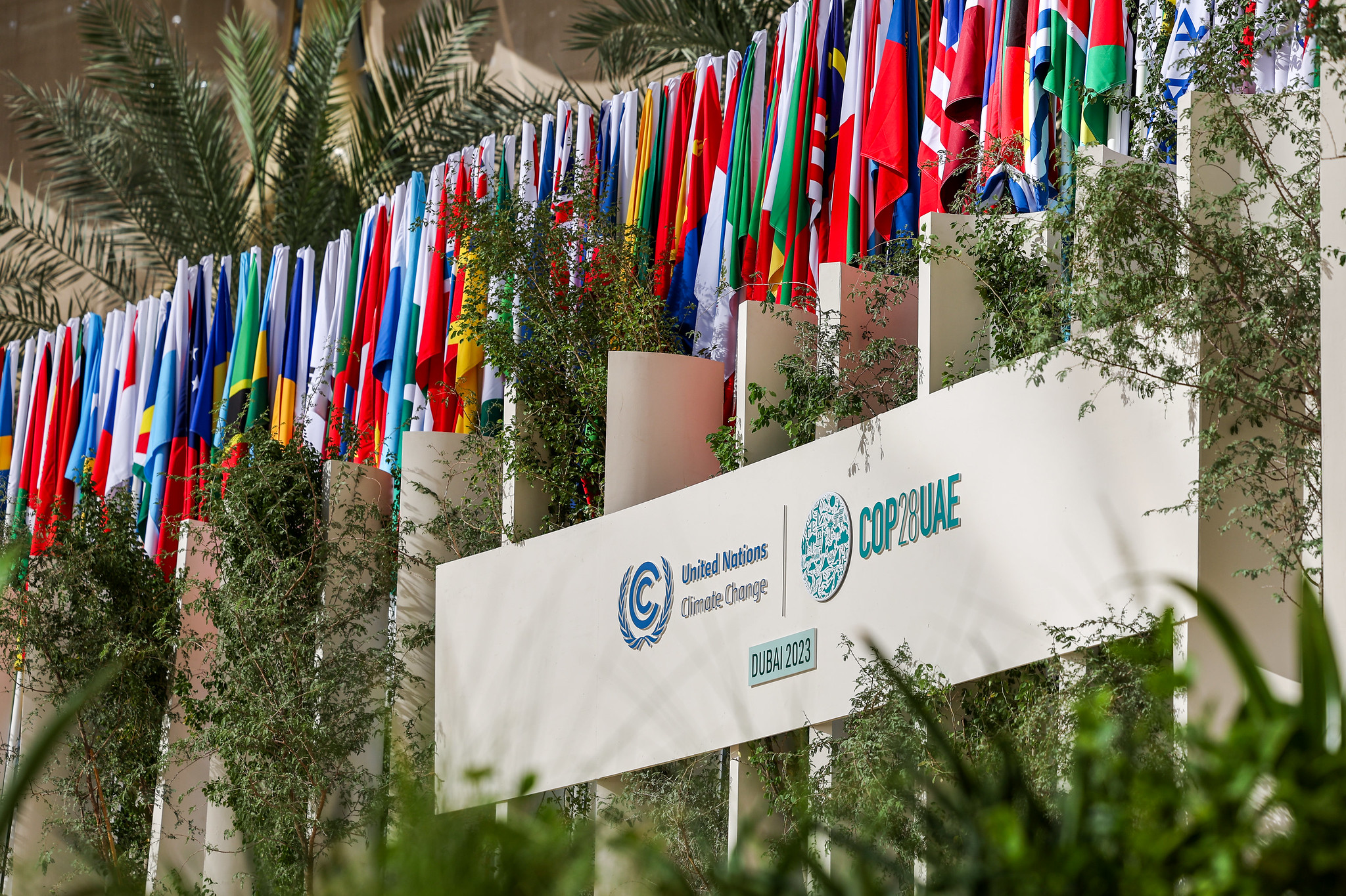 PIK-Expertise auf der COP 28 in Dubai
