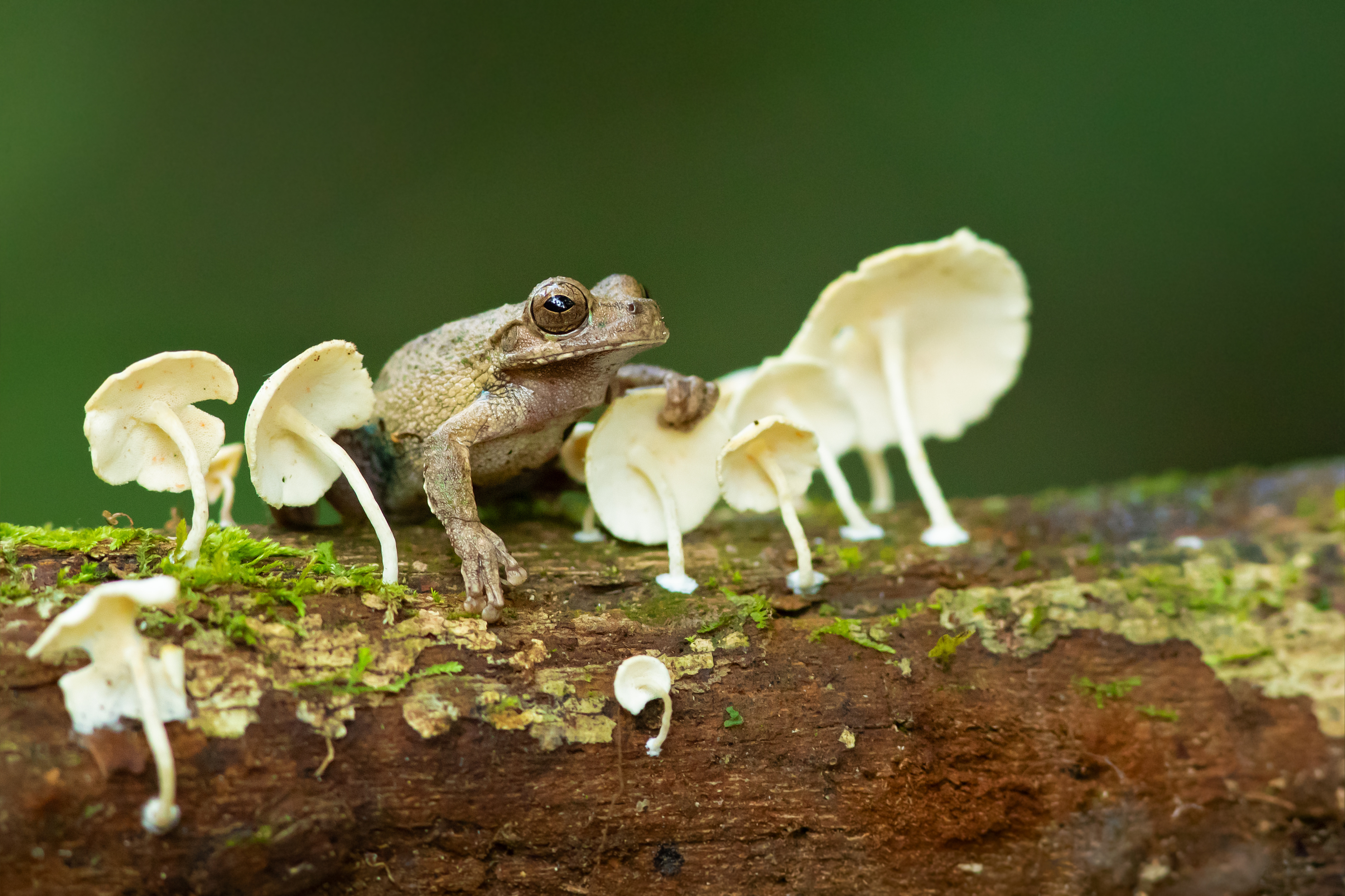 PIK-Forscher Alexander Popp wird Leitautor für globalen Zustandsbericht des Weltbiodiversitätsrats IPBES