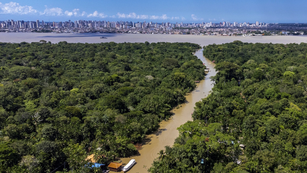 PIK Statement zum Abschluss der COP30