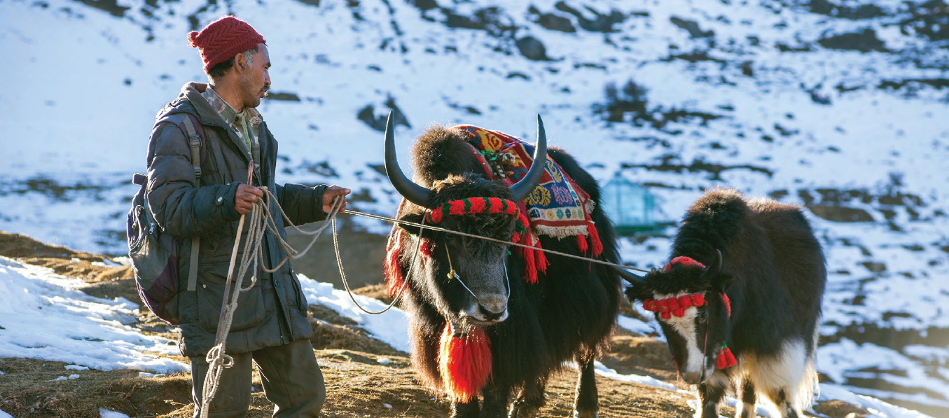 Verschlossene Häuser, brachliegendes Land: Klimawandel und Migration im im indischen Himalaya-Staat Uttarakhand