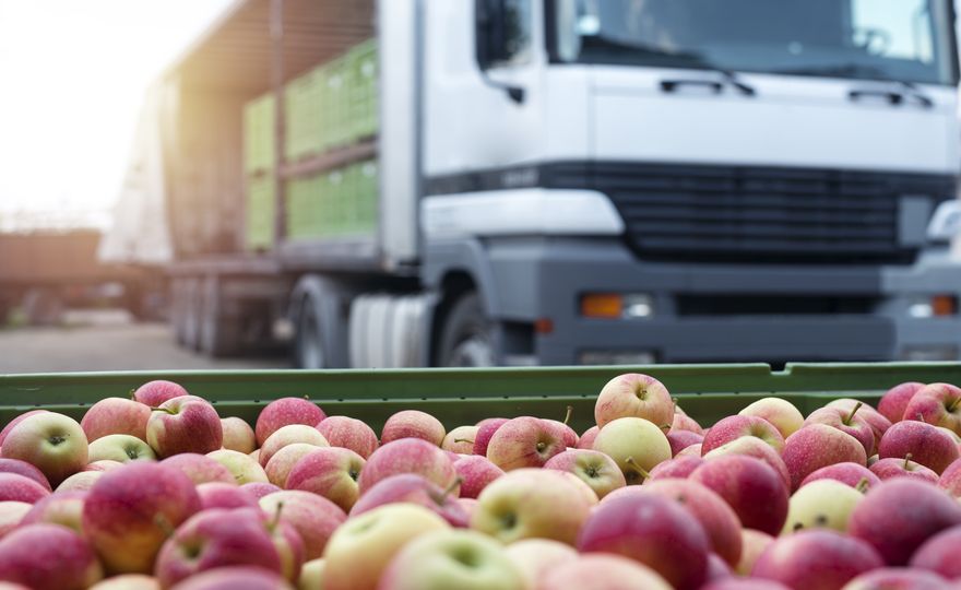 Von Avocados bis zu Äpfeln: Lebensmittel lokaler produzieren könnte helfen, Klima-Emissionen zu senken