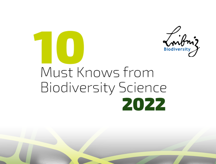 Wald, Corona, Lebensmittel, Artentod: Forschungsnetzwerk veröffentlicht „10 Must-Knows“ zur Biodiversität