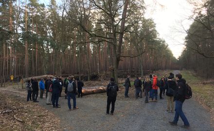 Waldmanagement im 21. Jahrhundert: Expertinnen und Experten treffen sich am PIK