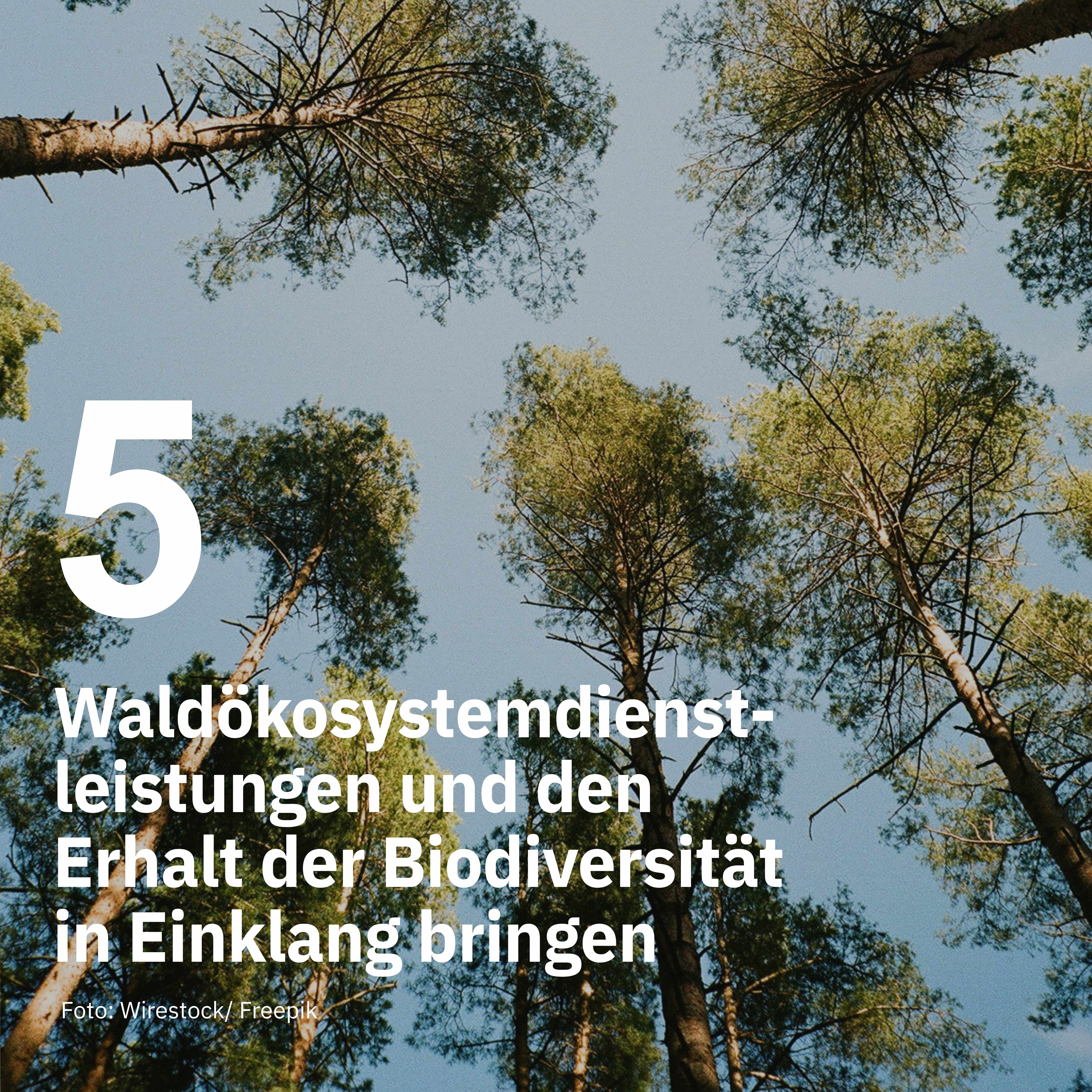 10 Must-Knows aus der Biodiversitätsforschung 2024 Teil 2