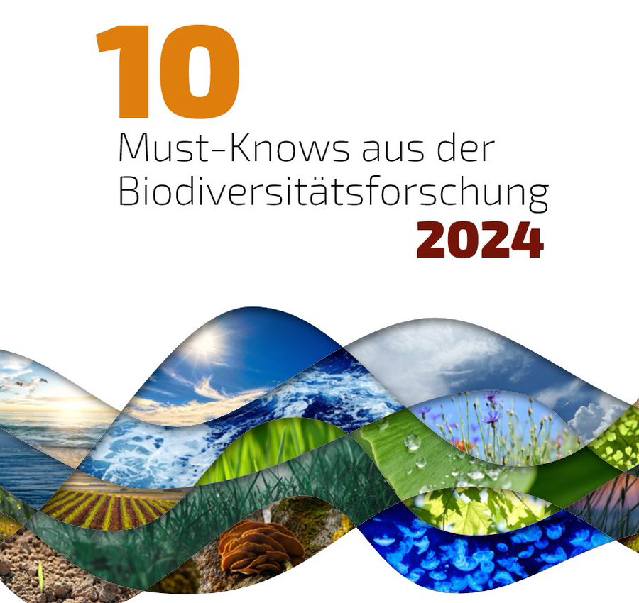 10 Must-Knows aus der Biodiversitätsforschung 2024