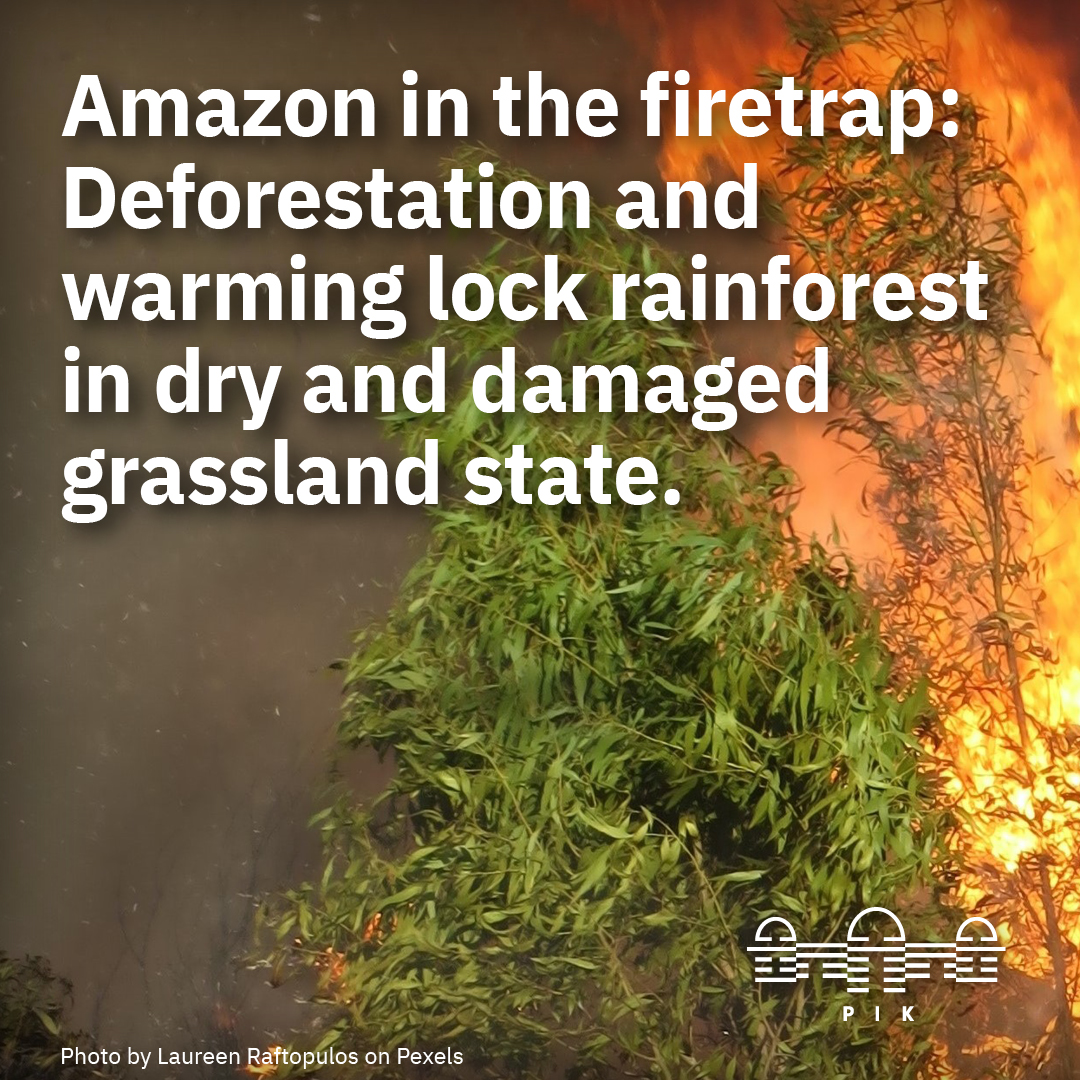Amazon in the firetrap