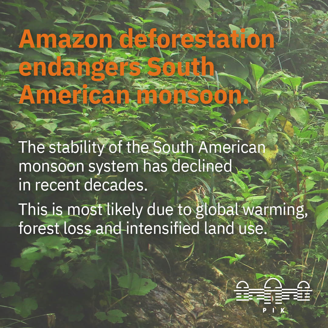Amazon rainforest degradation and deforestation endanger the South American monsoon