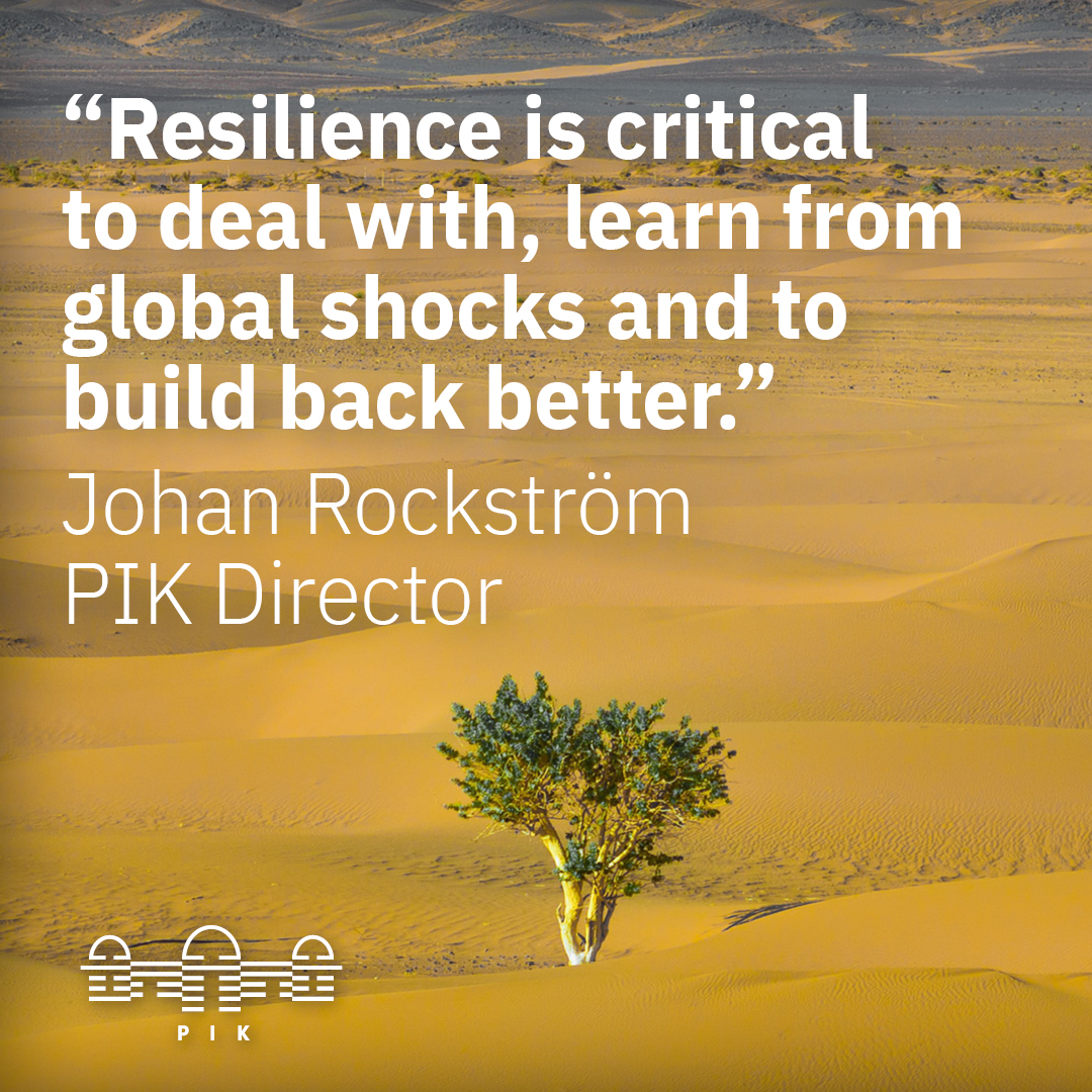 Building back better: Resilience means more than bouncing back