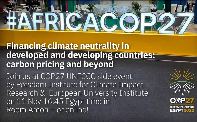 Financing carbon neutrality in developed and developing countries