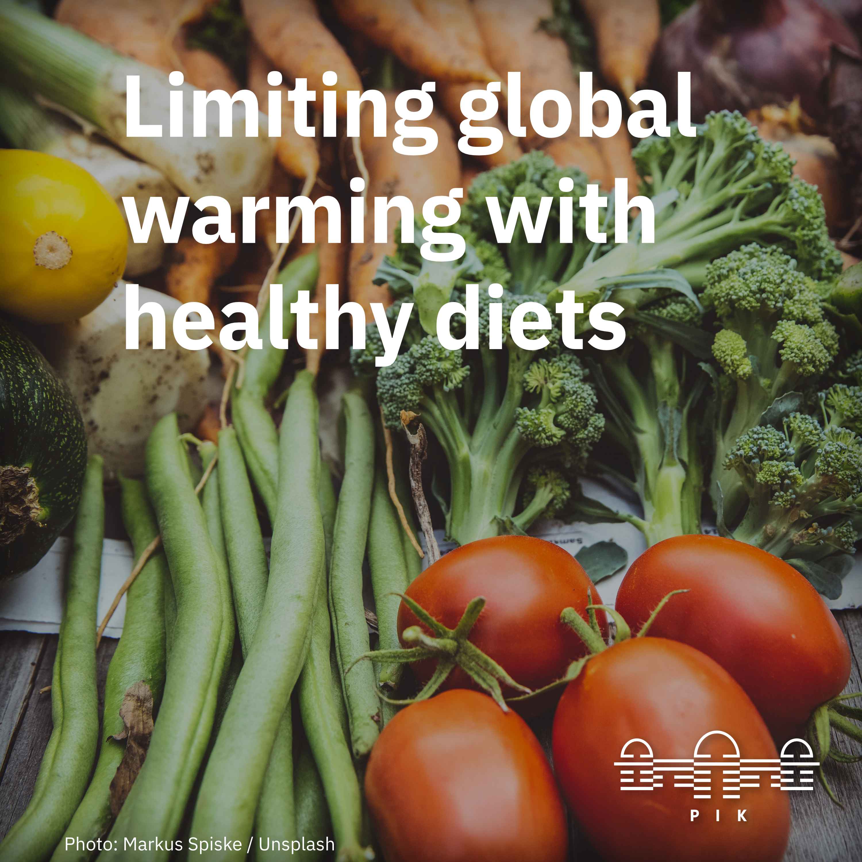 Food matters: Healthy diets increase the economic and physical feasibility of 1.5°C