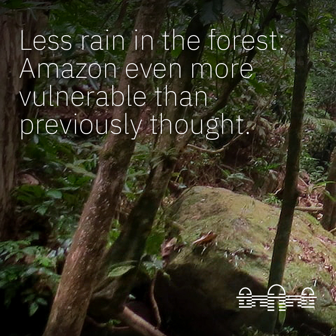 Less rain in the forest: Amazon even more vulnerable than previously thought