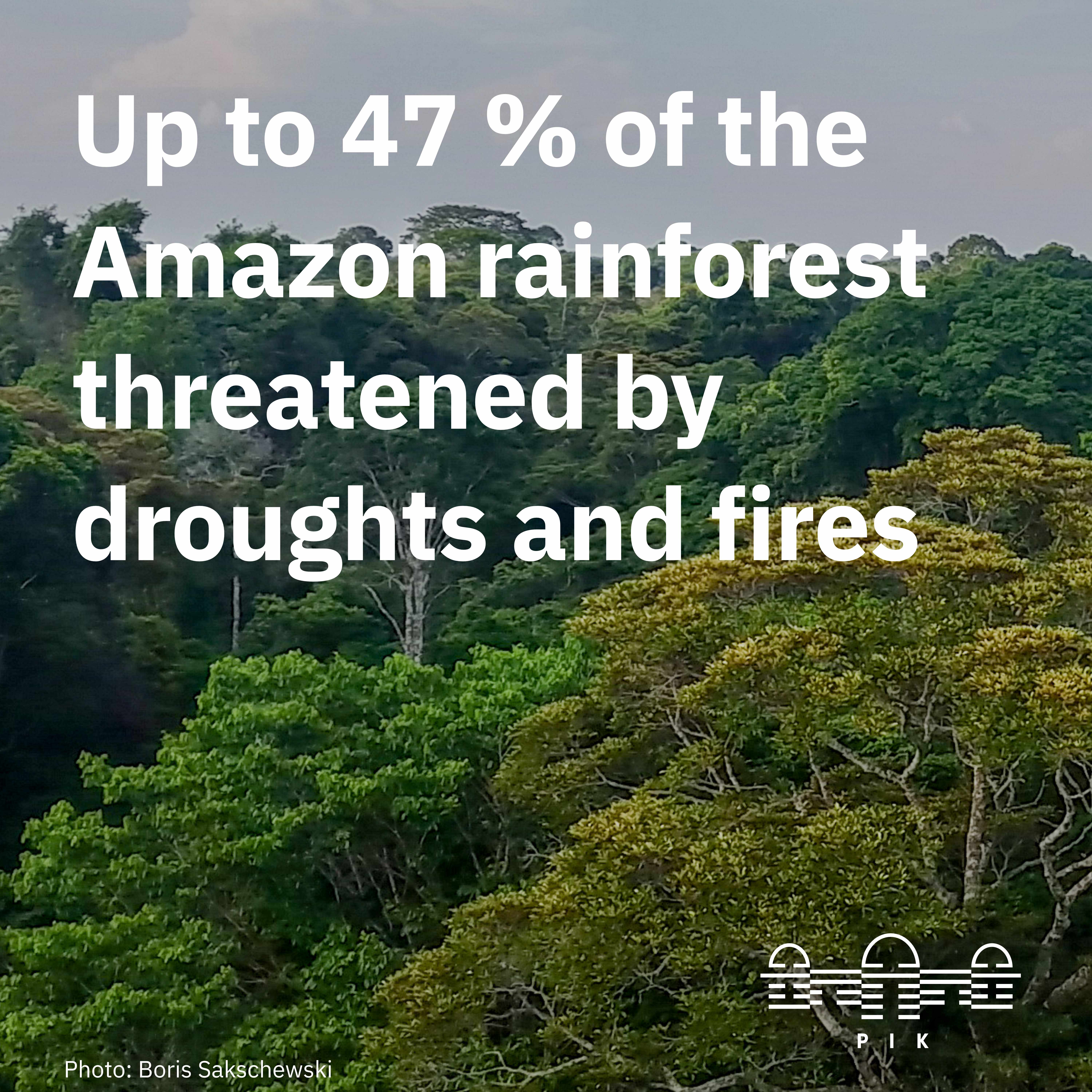 Up to 47 percent of the Amazonian forest is threatened
