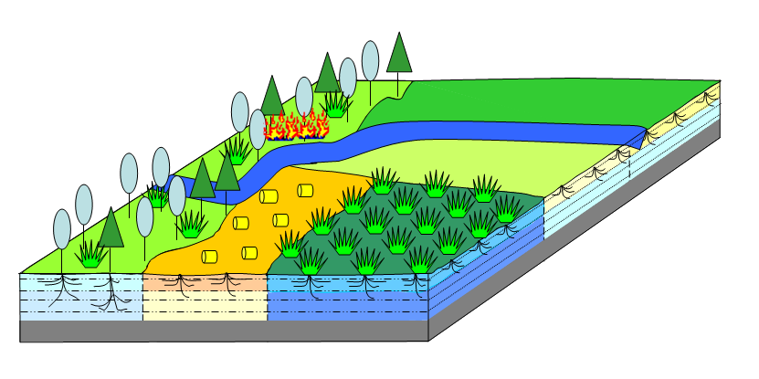 Each grid cell in LPJmL simulations can consist of indivudual land use types or a mosaic of variable fractions of different agricultural lands and natural vegetation.
