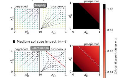 Paper: Caring for the future can turn tragedy into comedy for long-term collective action under risk of collapse