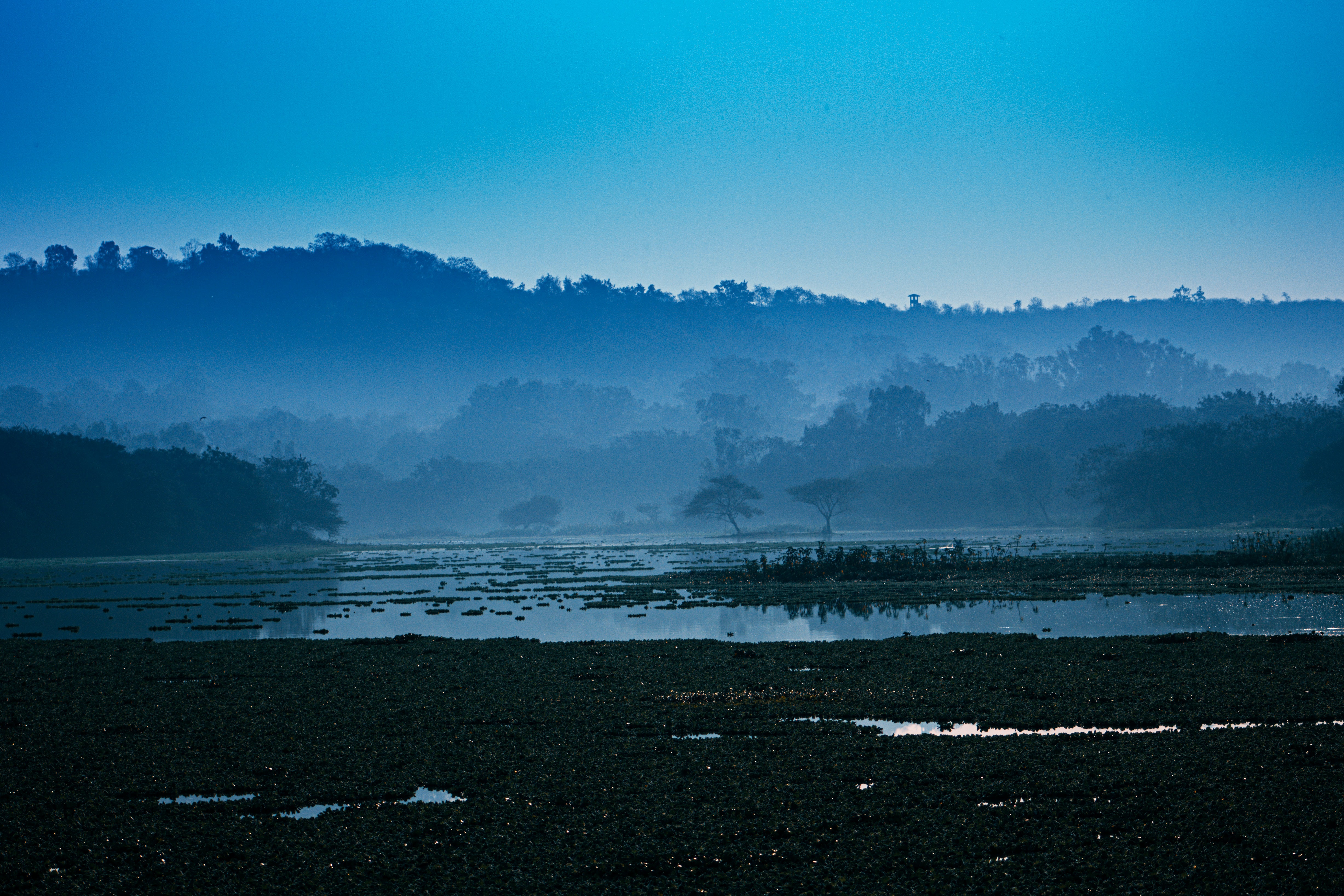 ‘Climate change increased rains’ - Monsoon Prediction on Central India under Climate Change