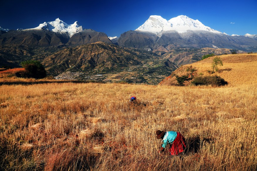 From droughts to floods: climate change and migration in Peru