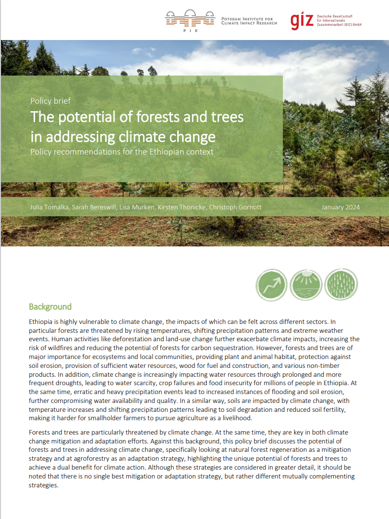 Policy Brief: The potential of forests and trees in addressing climate change. Policy recommendations for the Ethiopian context.