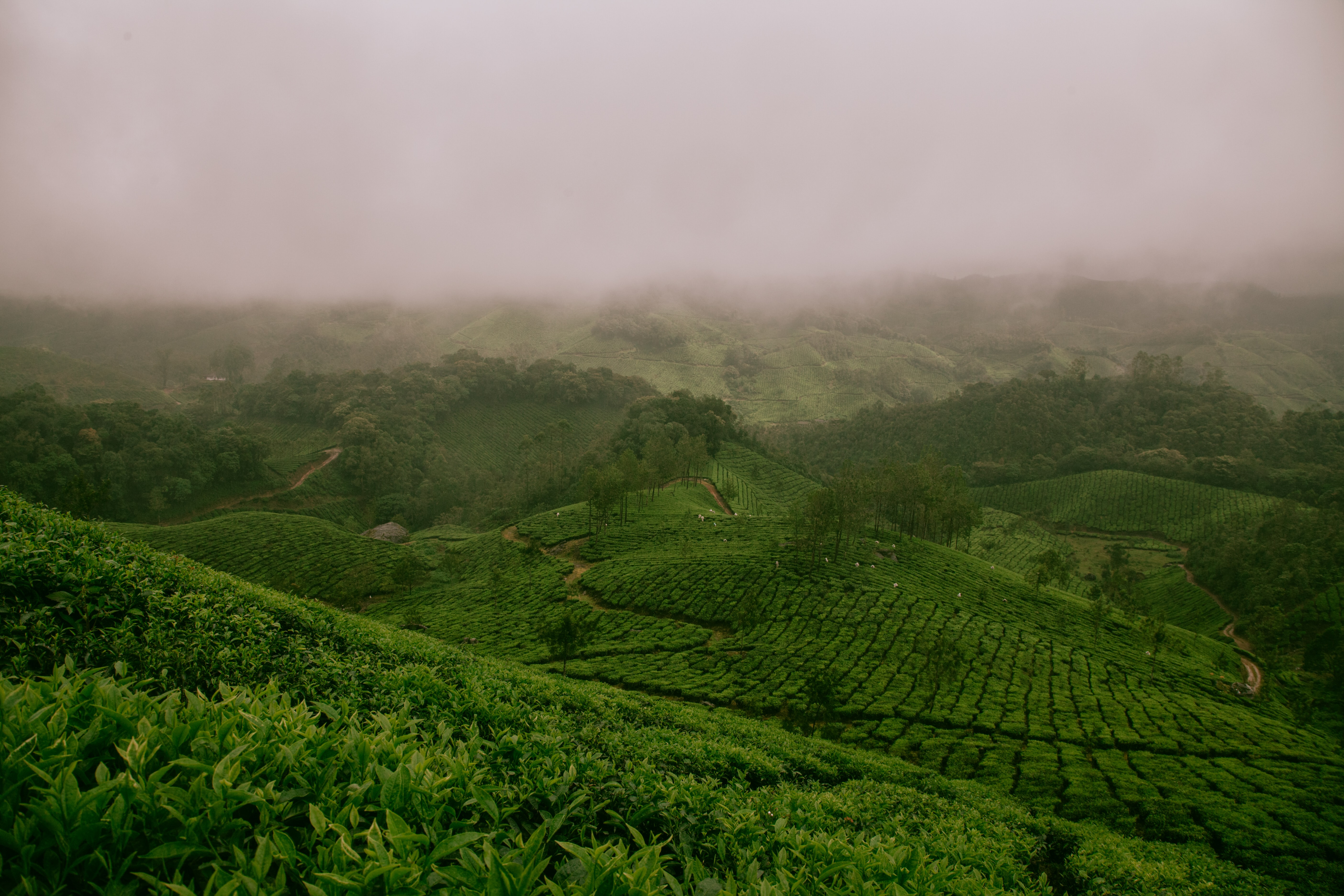 Tele-connecting geographical areas can help predict monsoon dates, says expert