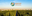 Global Conference on Environmental Taxation