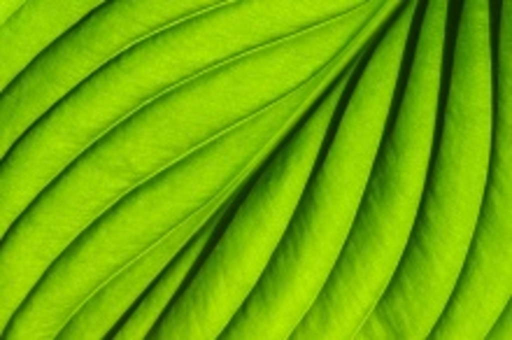 MCC now partner of Green Growth Knowledge Platform MCC now partner of Green Growth Knowledge Platform