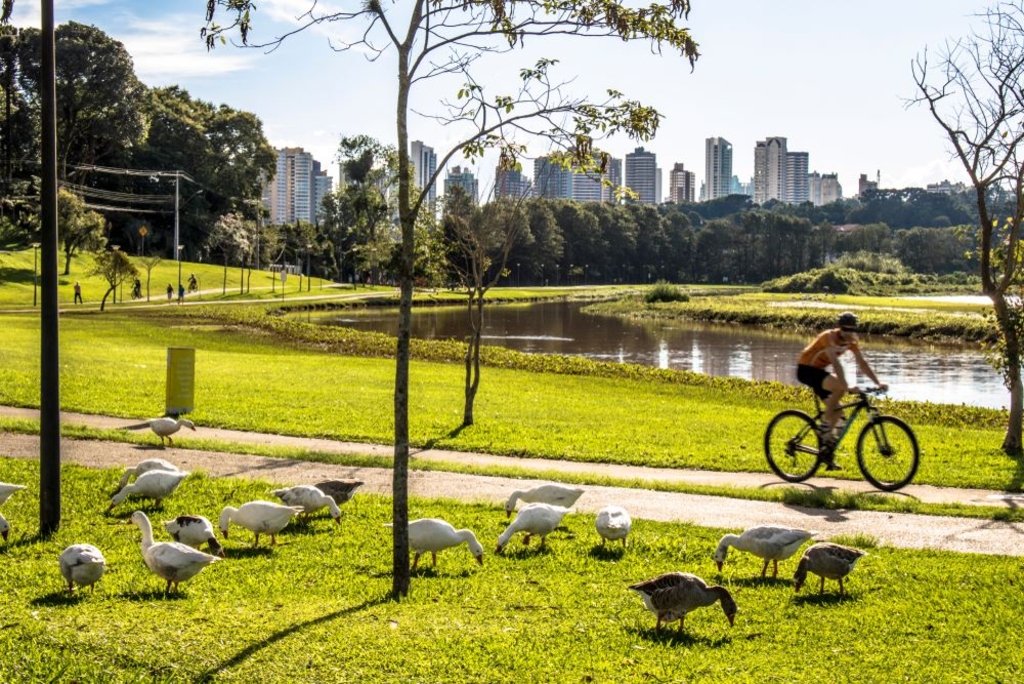 Urban planning to tackle climate change mitigation and adaptation at the same time Urban planning to tackle climate change mitigation and adaptation at the same time