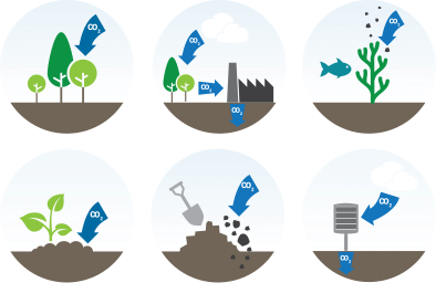Future of carbon removal becomes tangible