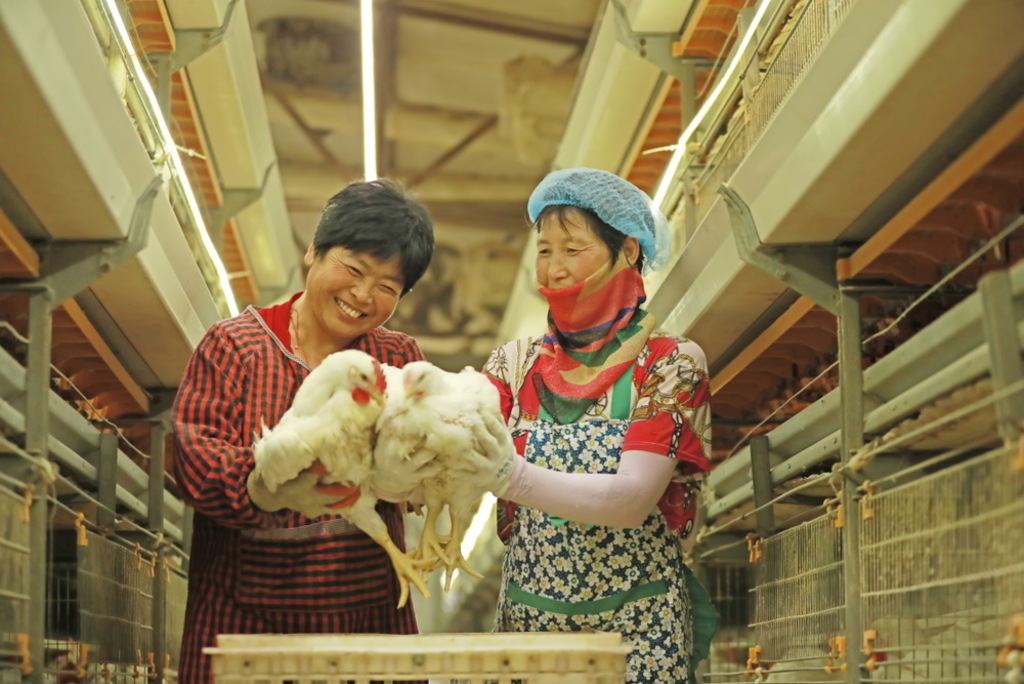 Agriculture in China holds favourable options for climate policy Agriculture in China holds favourable options for climate policy