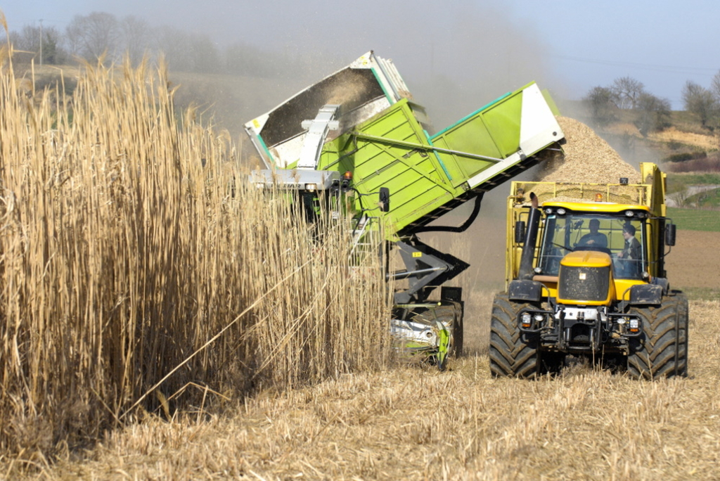Climate plantations fail to make the world more sustainable Climate plantations fail to make the world more sustainable