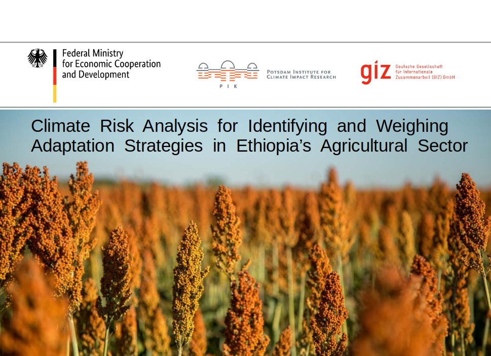 Launch of climate risk analysis for Ethiopia’s agricultural sector