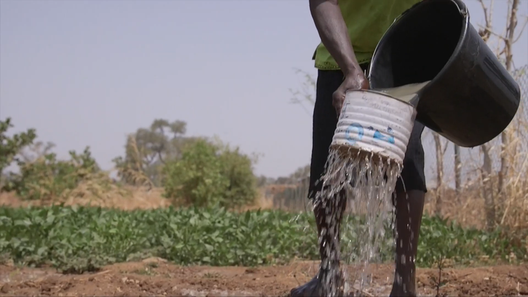 Film 4_Irrigation.png Film 4_Irrigation.png