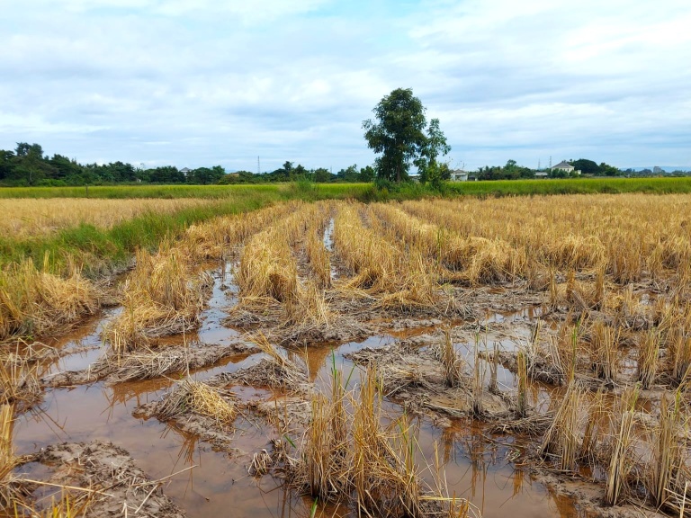 Photo: Julia Tomalka