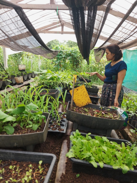 Photo: Julia Tomalka