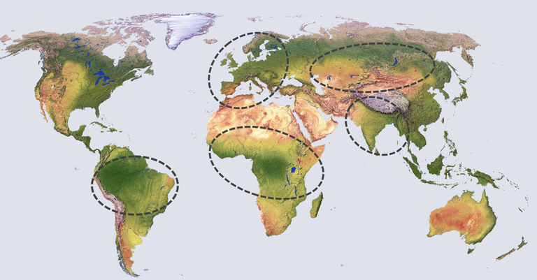 focus_regions