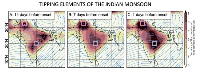 Tipping Elements of the Indian Monsoon