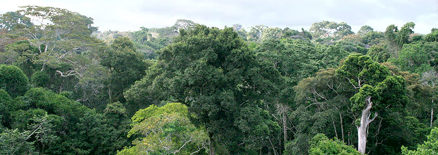 Ecosystems in Transition (EST) Ecosystems in Transition (EST)